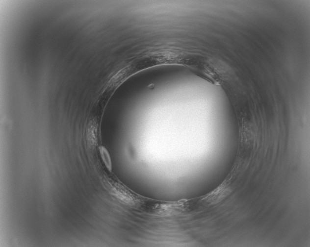 X0000059800188200510241339