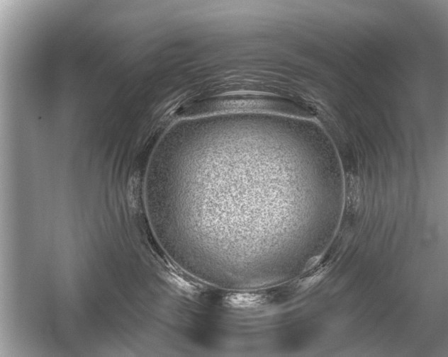 X0000059800189200510241339