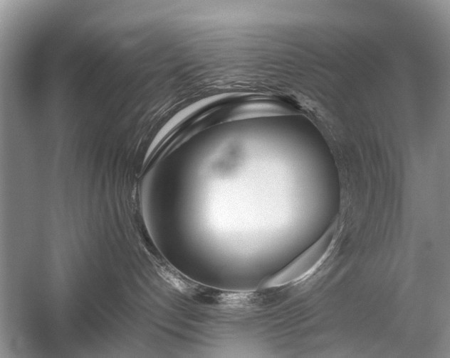 X0000059800192200510241339