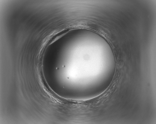 X0000059800193200510241338