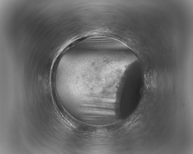 X0000059800196200510241338