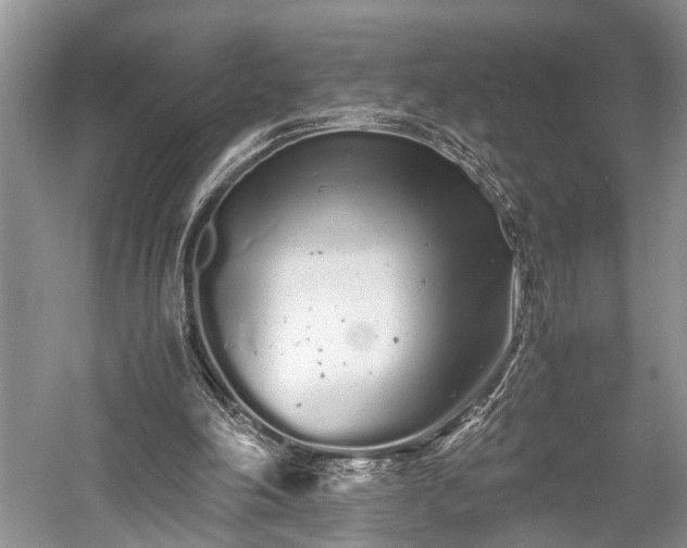 X0000059800198200510241338