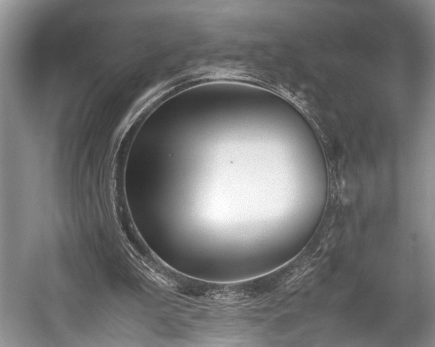 X0000059800199200510241338