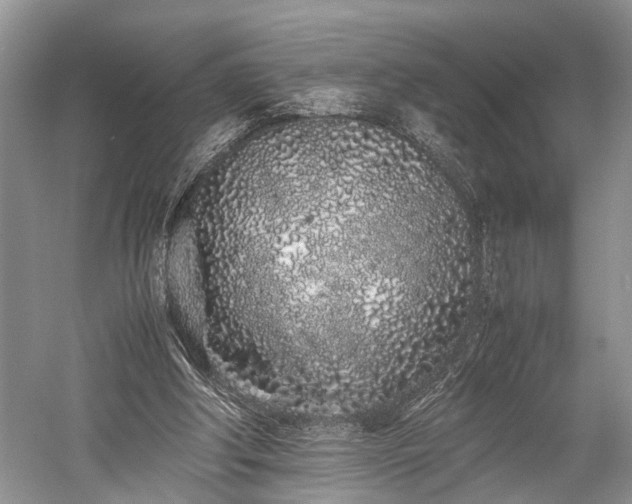 X0000059800202200510241338