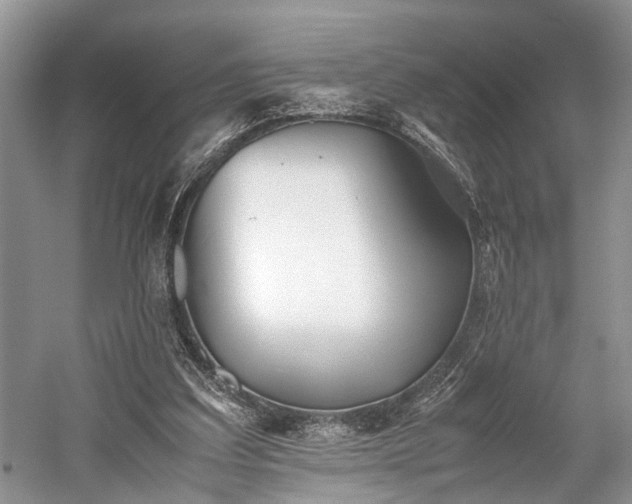 X0000059800203200510241338