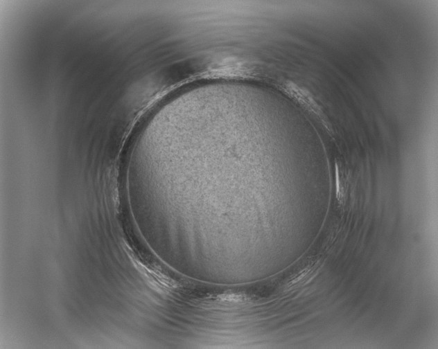 X0000059800204200510241338