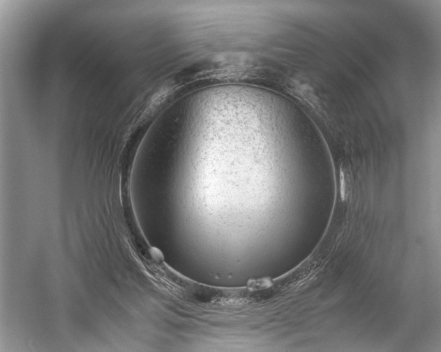 X0000059800205200510241338