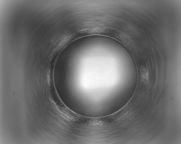 X0000059800206200510241338