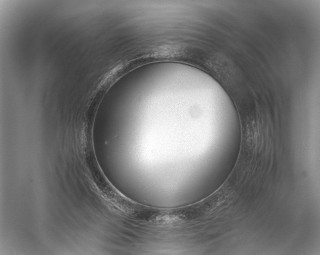 X0000059800208200510241338