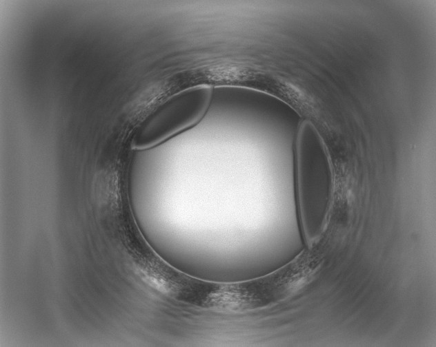 X0000059800211200510241338