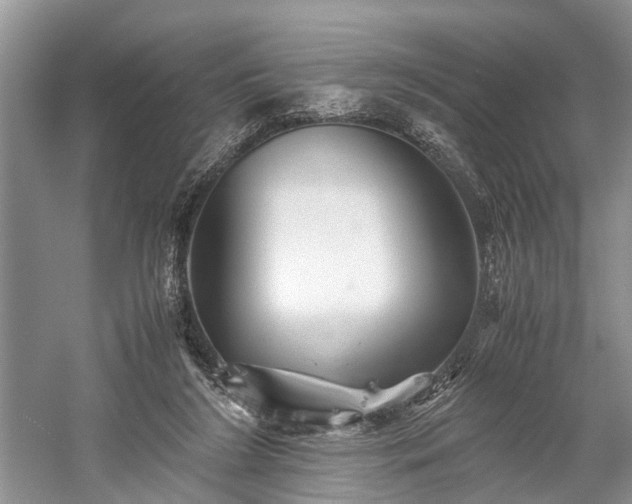 X0000059800212200510241338