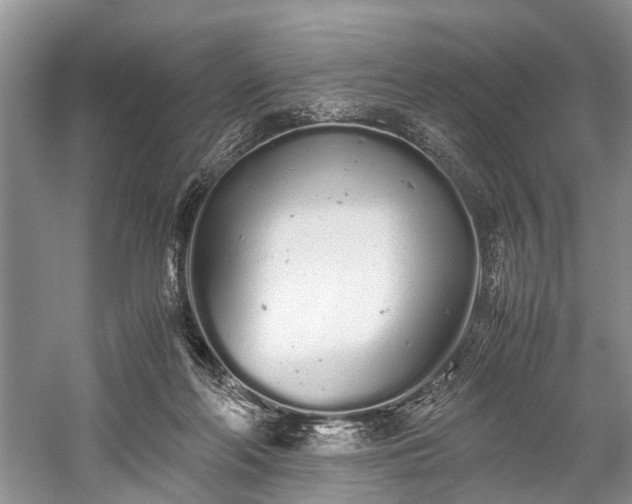 X0000059800214200510241337