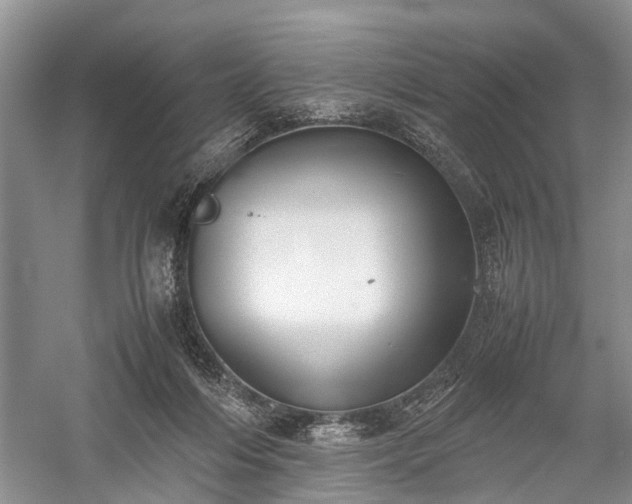 X0000059800216200510241337