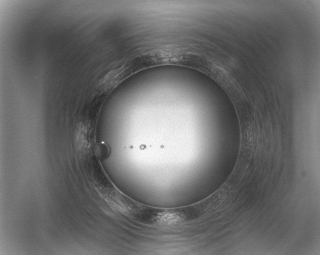 X0000059800218200510241337