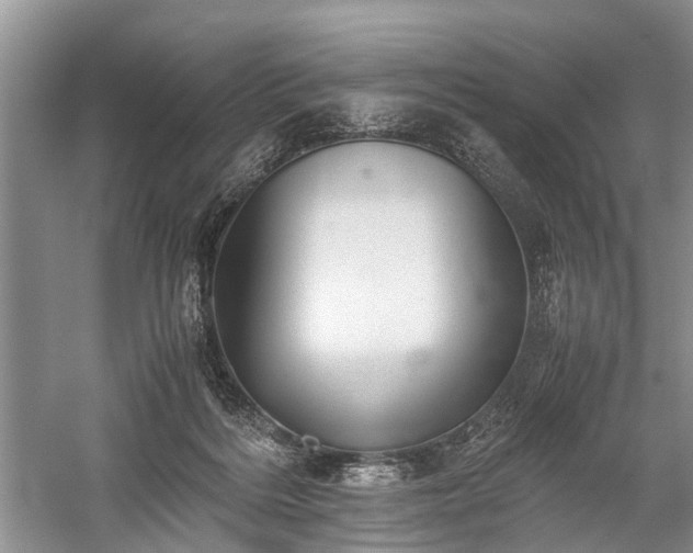 X0000059800220200510241337