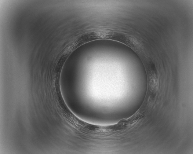 X0000059800221200510241337