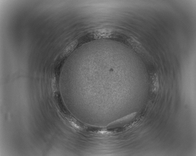 X0000059800224200510241337