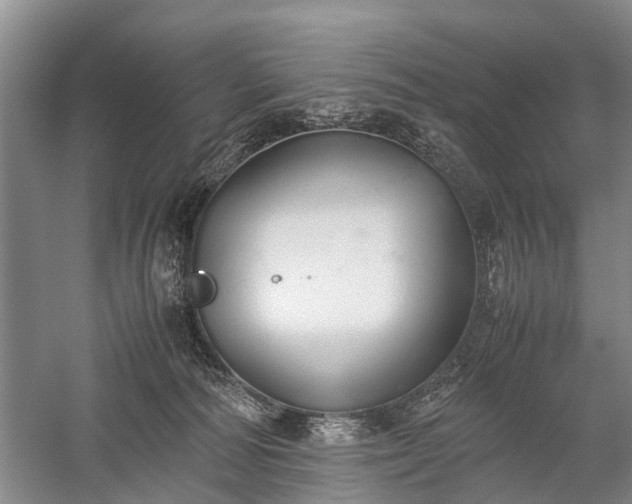 X0000059800226200510241337