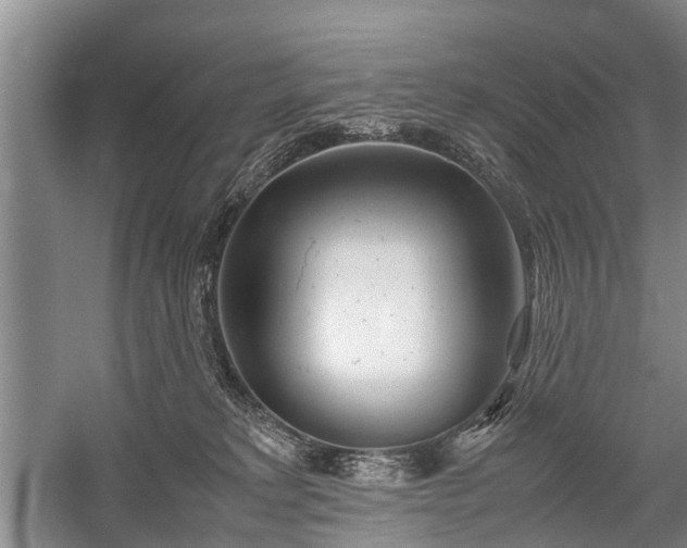 X0000059800229200510241337