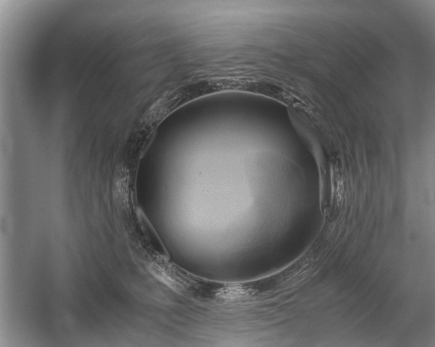 X0000059800231200510241337