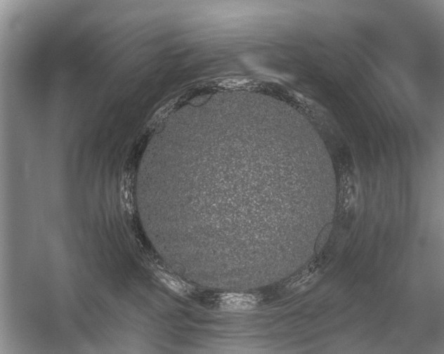 X0000059800234200510241337