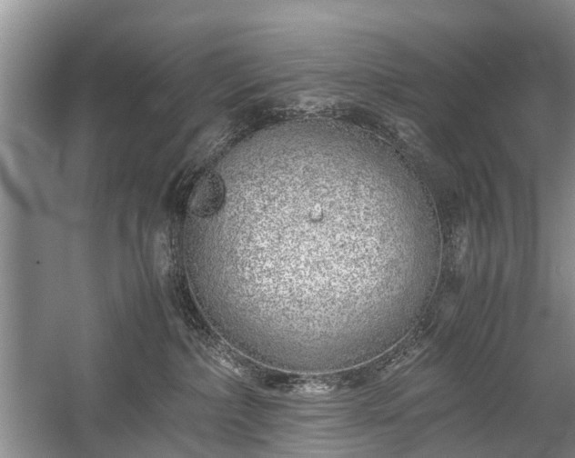 X0000059800236200510241337