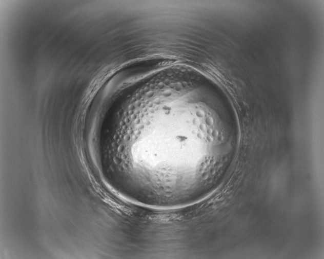 X0000059800241200510241336