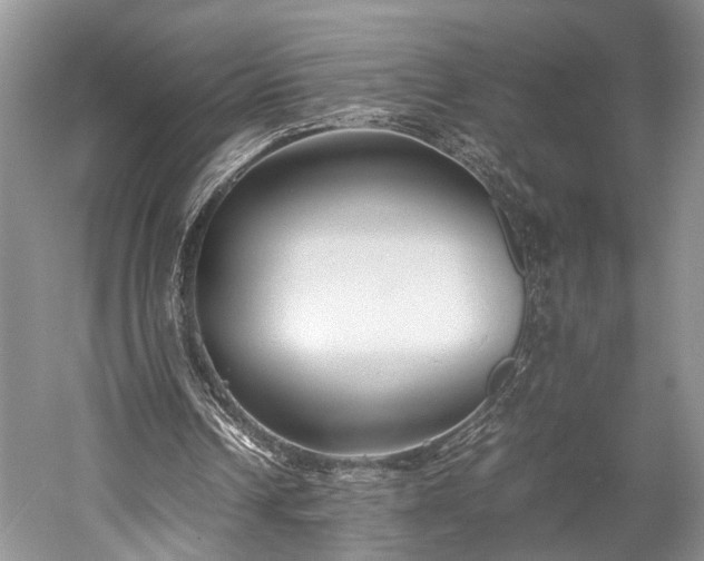 X0000059800242200510241336