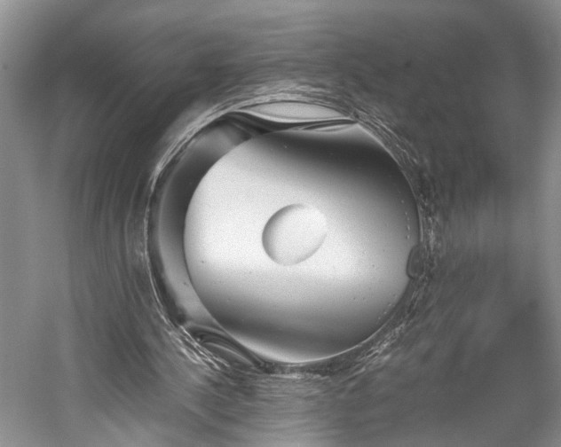 X0000059800244200510241336