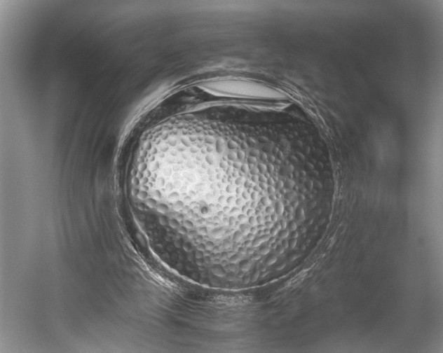 X0000059800245200510241336