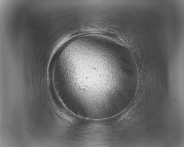 X0000059800246200510241336