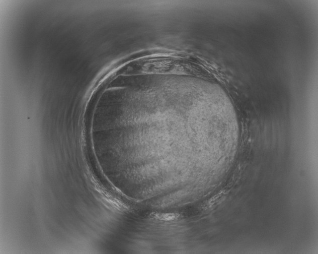 X0000059800247200510241336