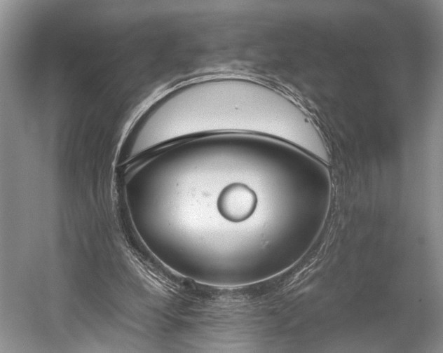 X0000059800248200510241336