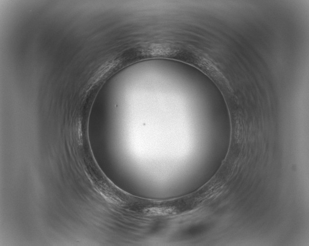 X0000059800251200510241336