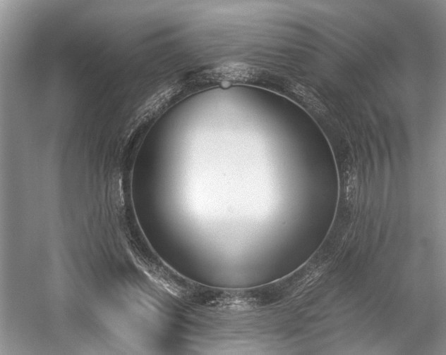 X0000059800254200510241336