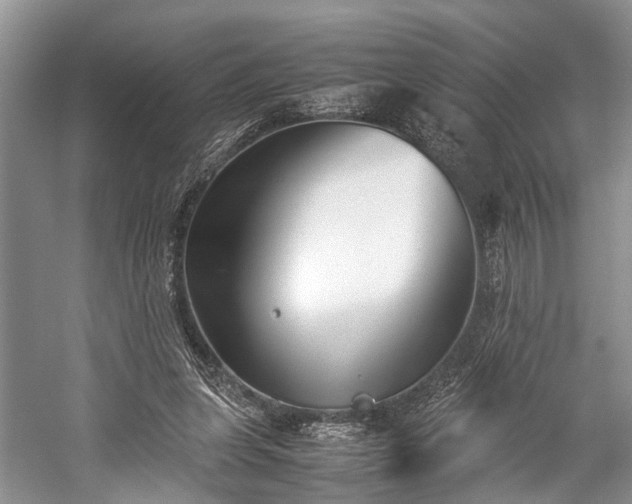 X0000059800255200510241336