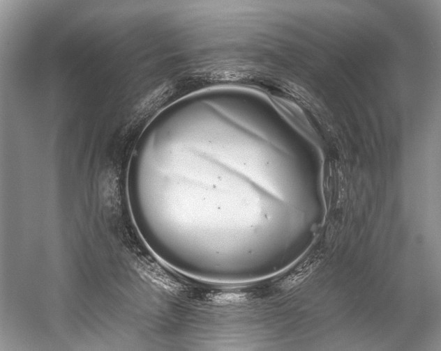 X0000059800258200510241337