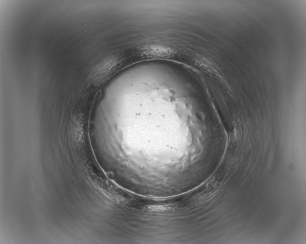 X0000059800259200510241337