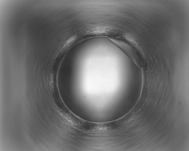 X0000059800260200510241337