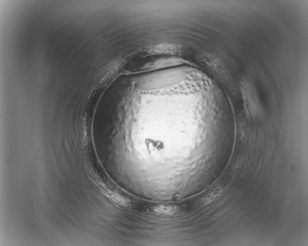 X0000059800261200510241337