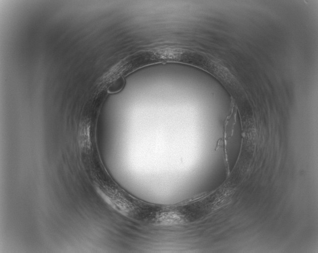 X0000059800262200510241337