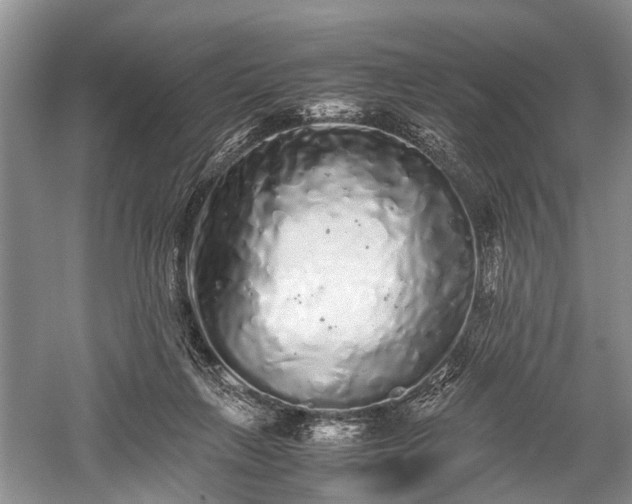 X0000059800263200510241337