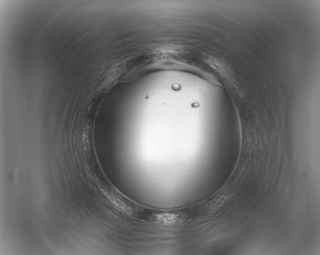 X0000059800265200510241337