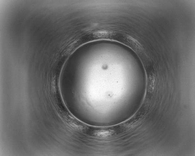 X0000059800267200510241337