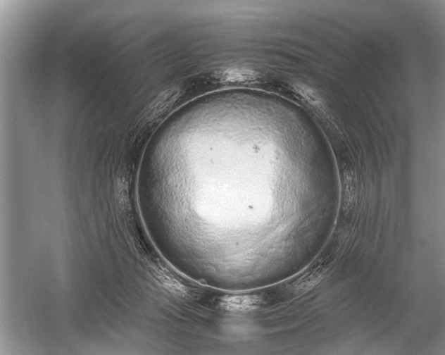 X0000059800269200510241337