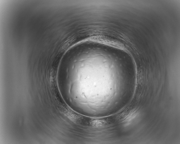 X0000059800277200510241337