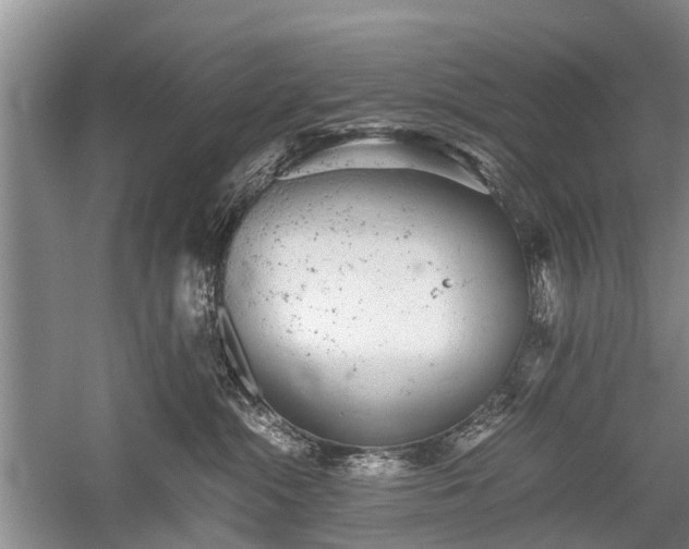 X0000059800284200510241337