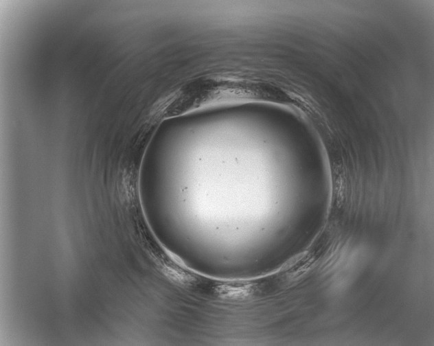 X0000059800285200510241337