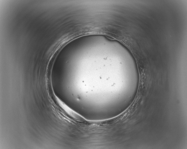 X0000059800290200510241336