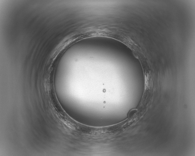 X0000059800291200510241336